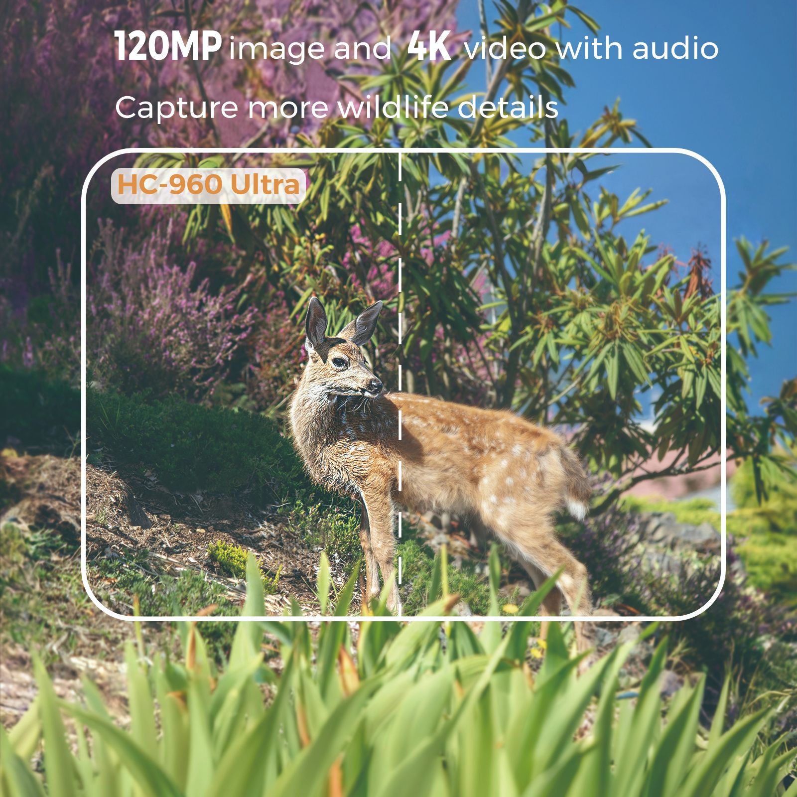 Zewnętrzna kamera 4K z nagrywa – Outdoor Hunting Video Camera recenzja i cena