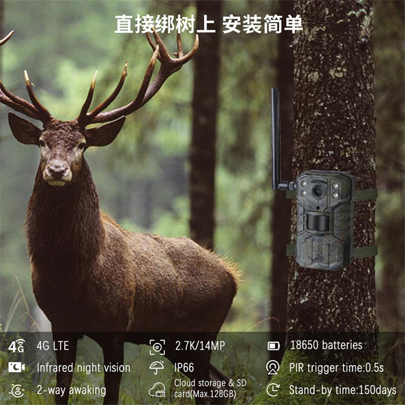Kamera leśna 4G LTE zasilana s – Outdoor Hunting Video Camera recenzja i cena