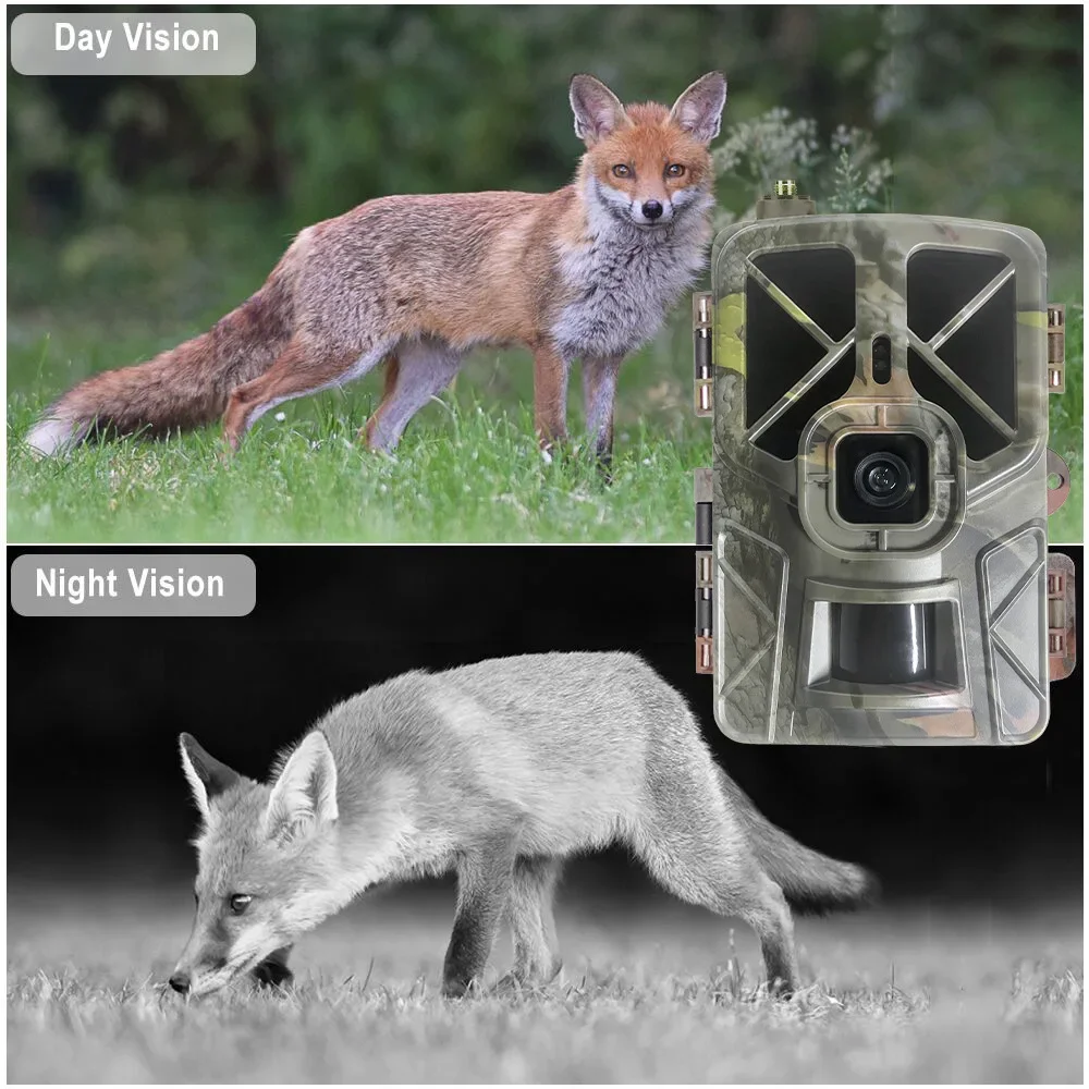 HC-935Pro 2K Outdoor Wildlife  – Outdoor Hunting Camera Wireless recenzja i cena
