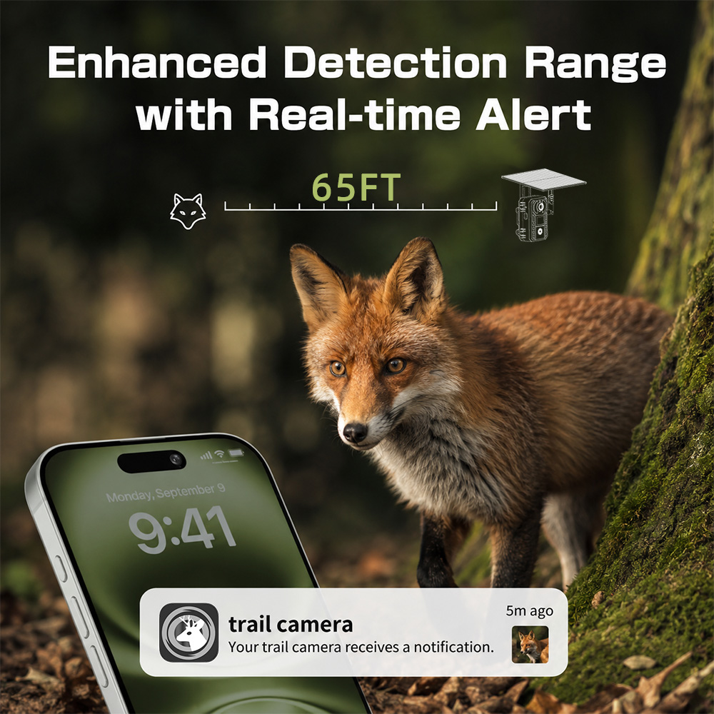 Kamera leśna EU 4G Cellular 2K – Outdoor Hunting Video Camera recenzja i cena
