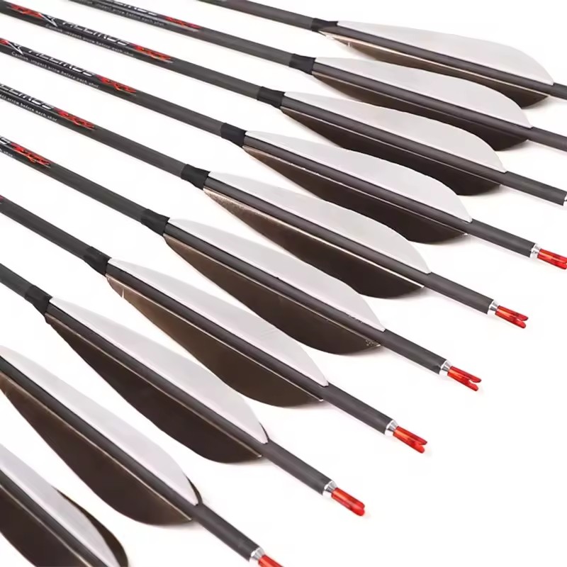 ACCMOS 33-calowe strzały z czy – Hunting Bow Compound recenzja i cena