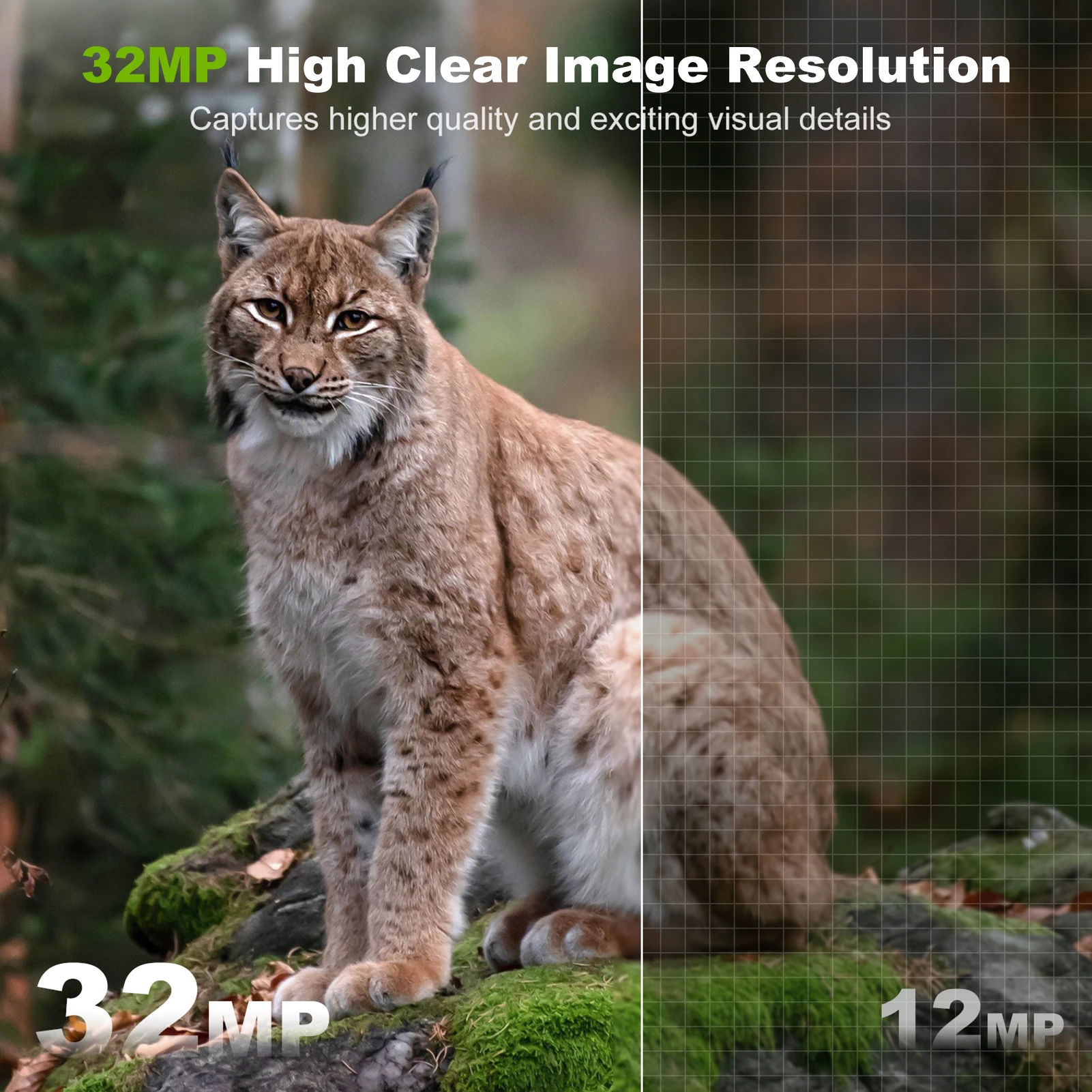 Kamera solarna Zewnętrzna bezp – Outdoor Hunting Camera Wireless recenzja i cena
